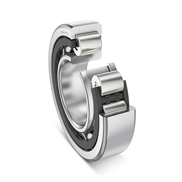 200 Series Cylindrical Roller Bearing